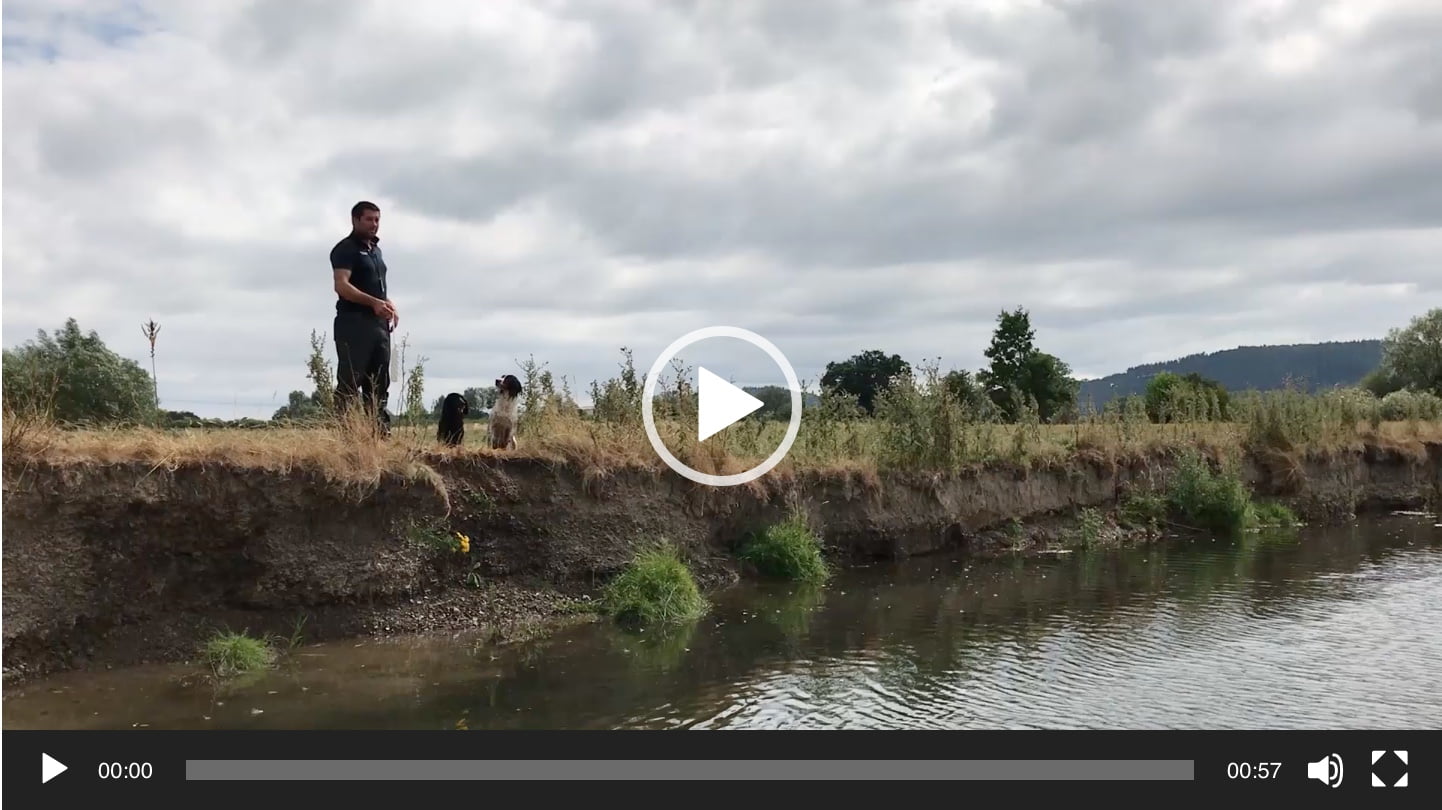 Young Pip enjoying her water training