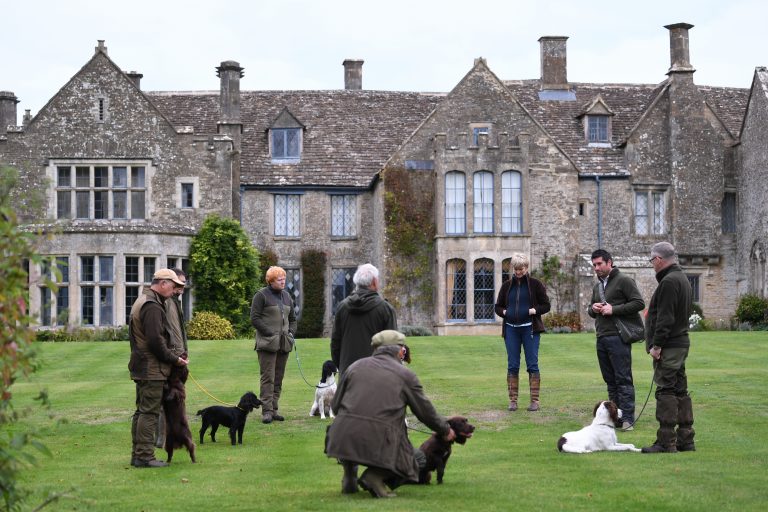 Glamorganshire Field Trial Society Training day