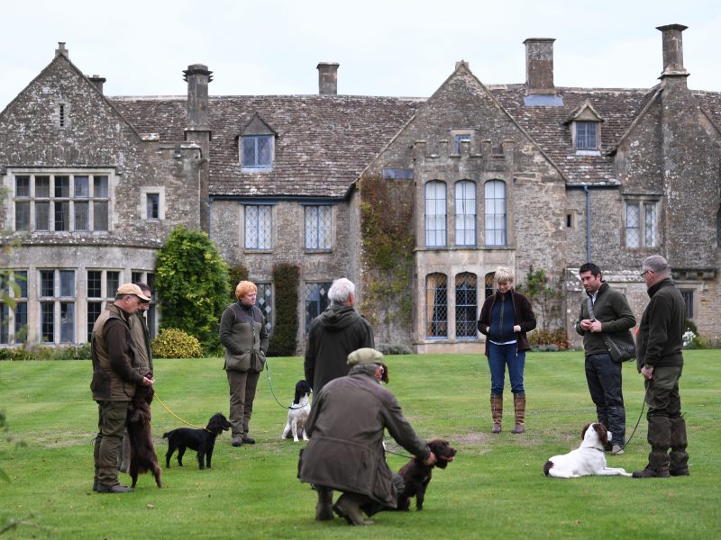 Glamorganshire Field Trial Society Training day