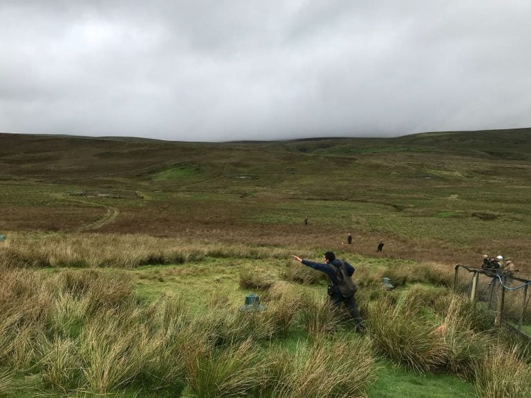 Working The Dogs On Training Days