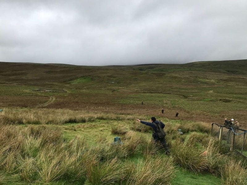 Working The Dogs On Training Days