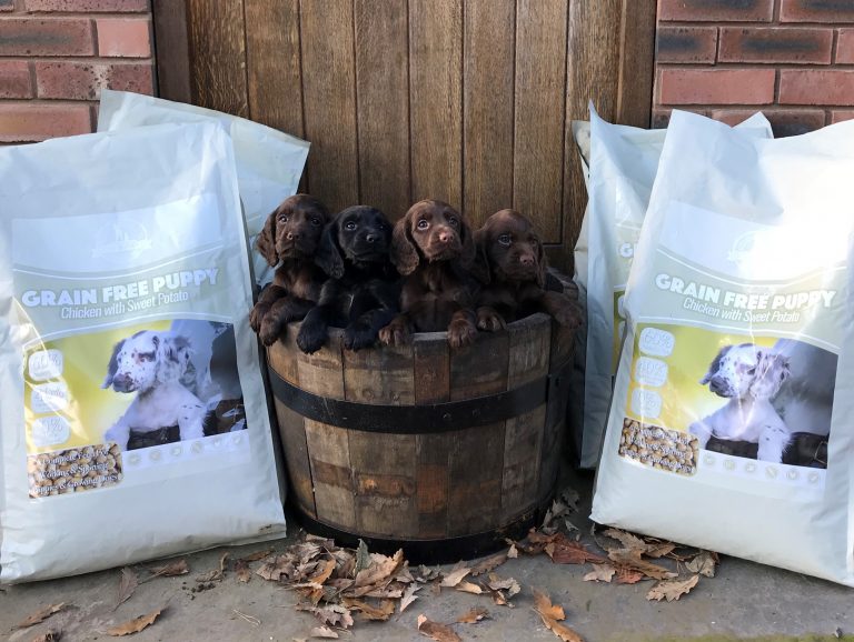 Dog and Field Hypoallergenic Premium Puppy Food