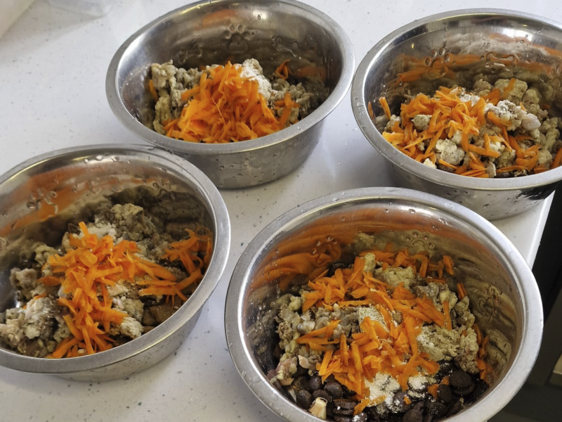 Natural Worming and Flea/Tick Prevention for Dogs – The Breckmarsh 6-Week Routine