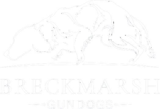 Breckmarsh Gundogs UK